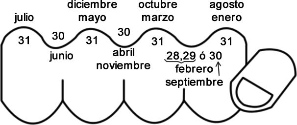 Calendario dedos